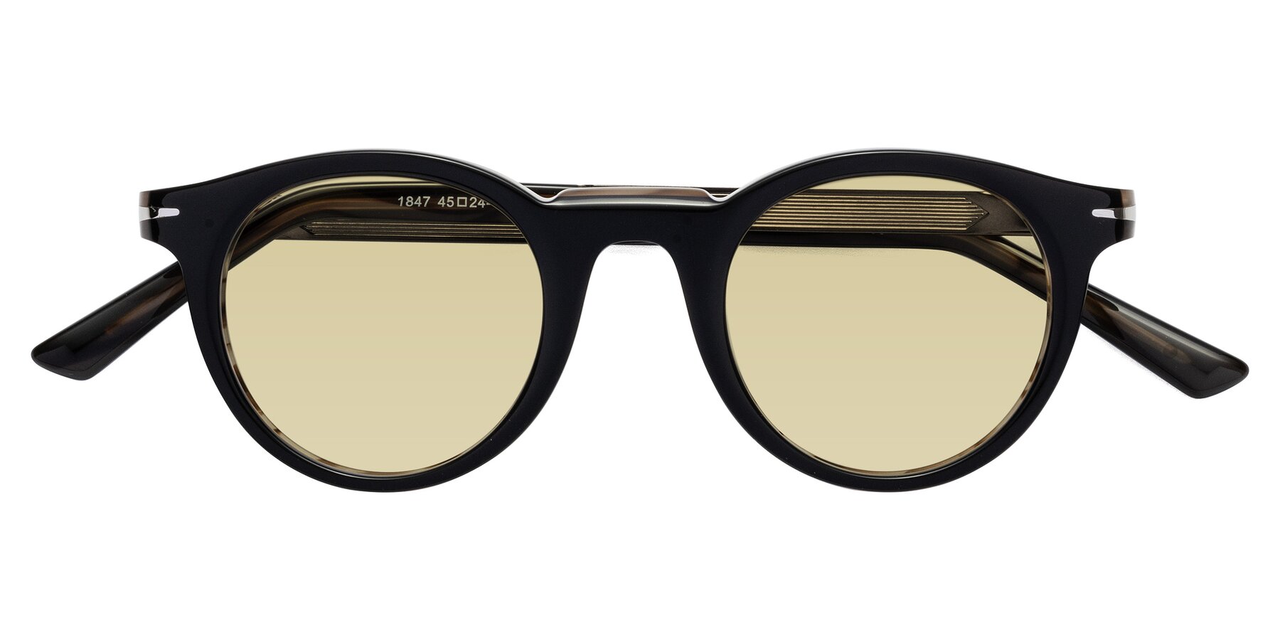 Folded Front of Cycle in Black-Gray Moonstone with Light Champagne Tinted Lenses