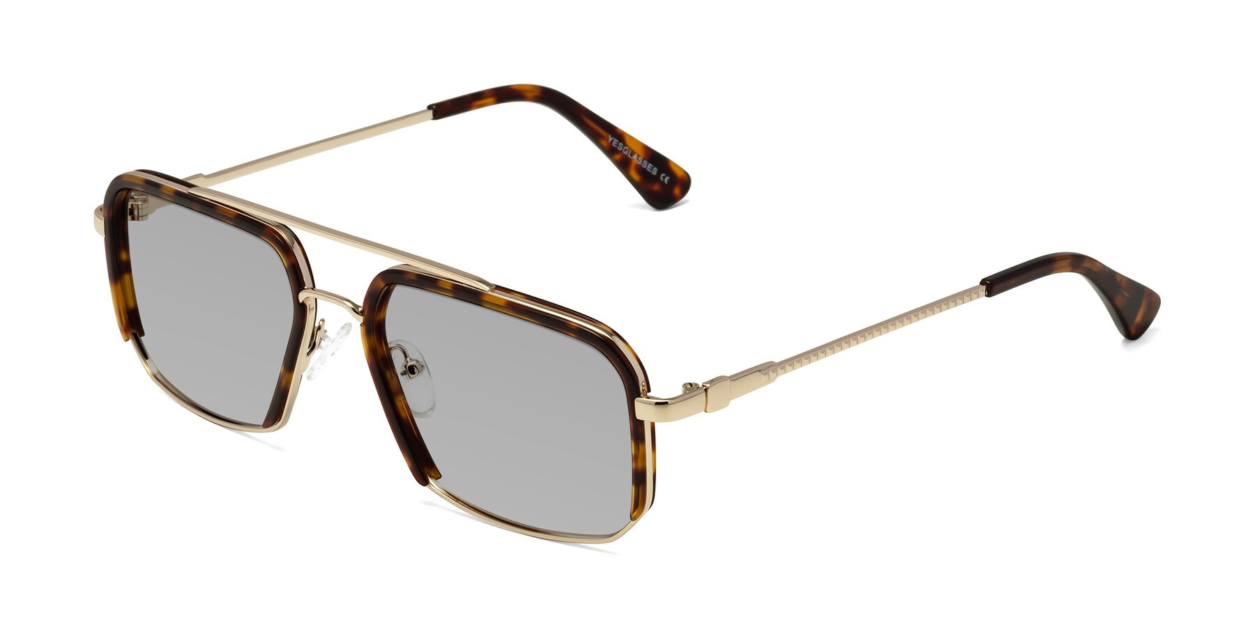 Angle of Dechter in Tortoise-Gold with Light Gray Tinted Lenses