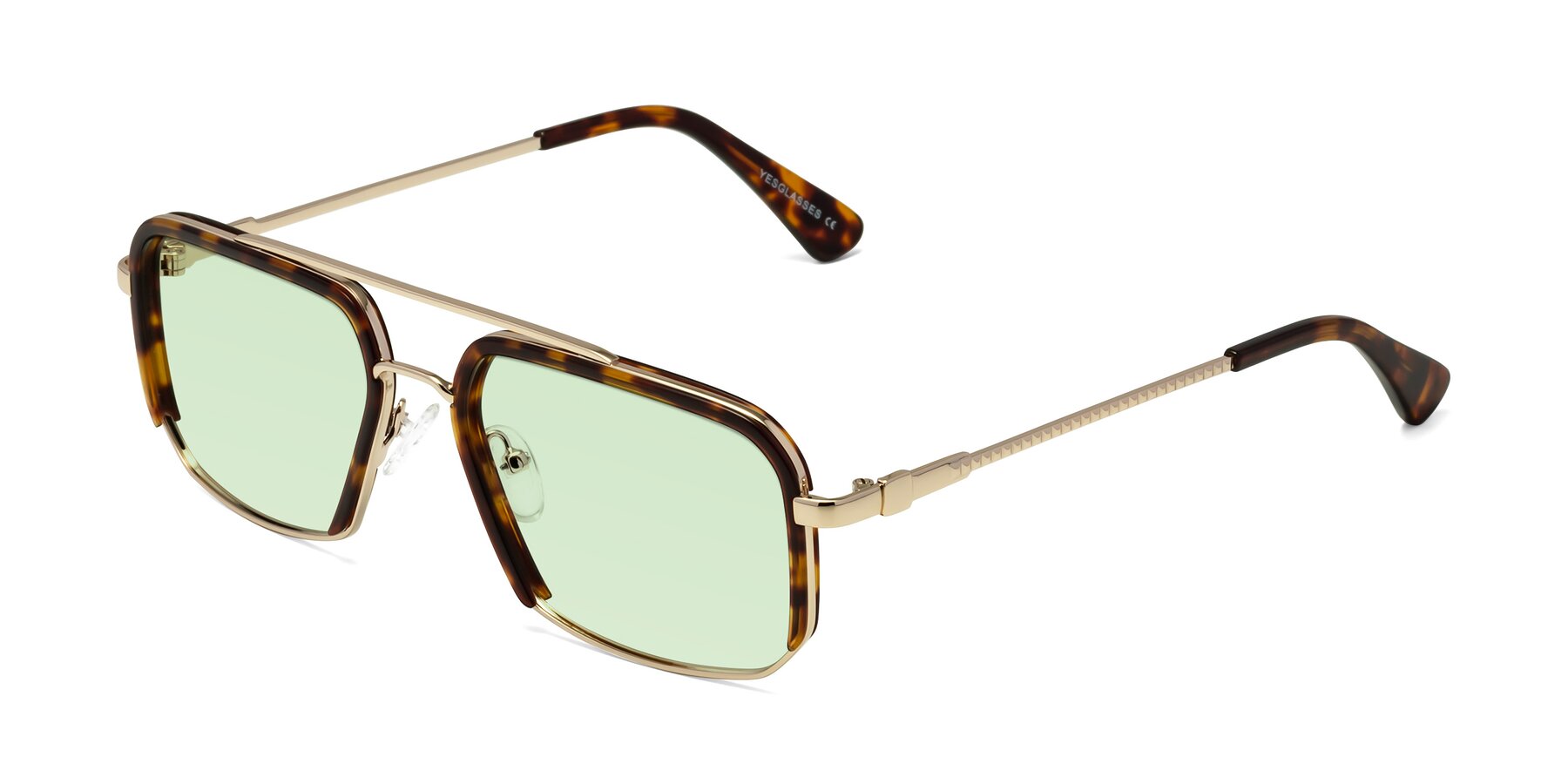 Angle of Dechter in Tortoise-Gold with Light Green Tinted Lenses