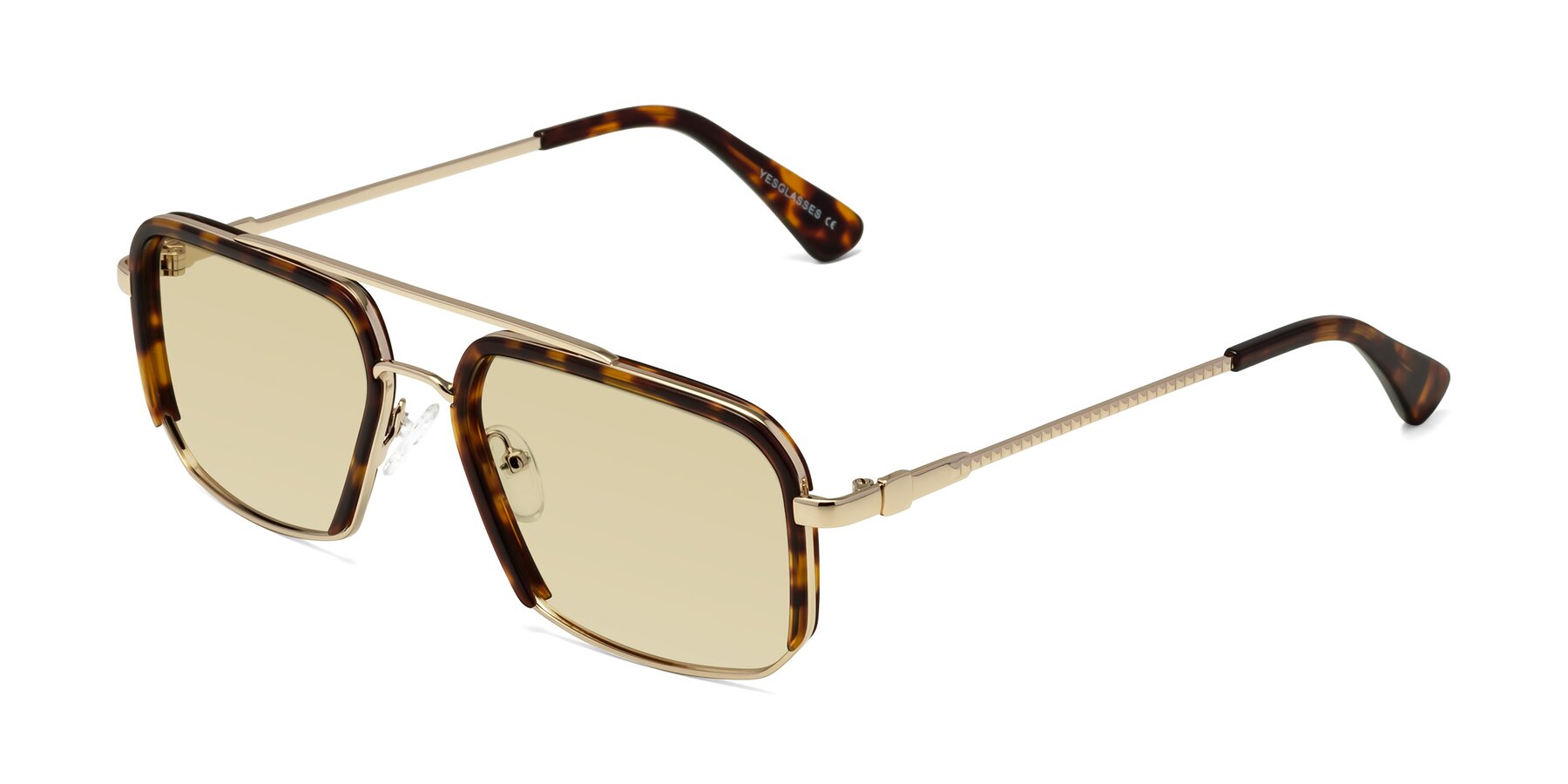 Angle of Dechter in Tortoise-Gold with Light Champagne Tinted Lenses