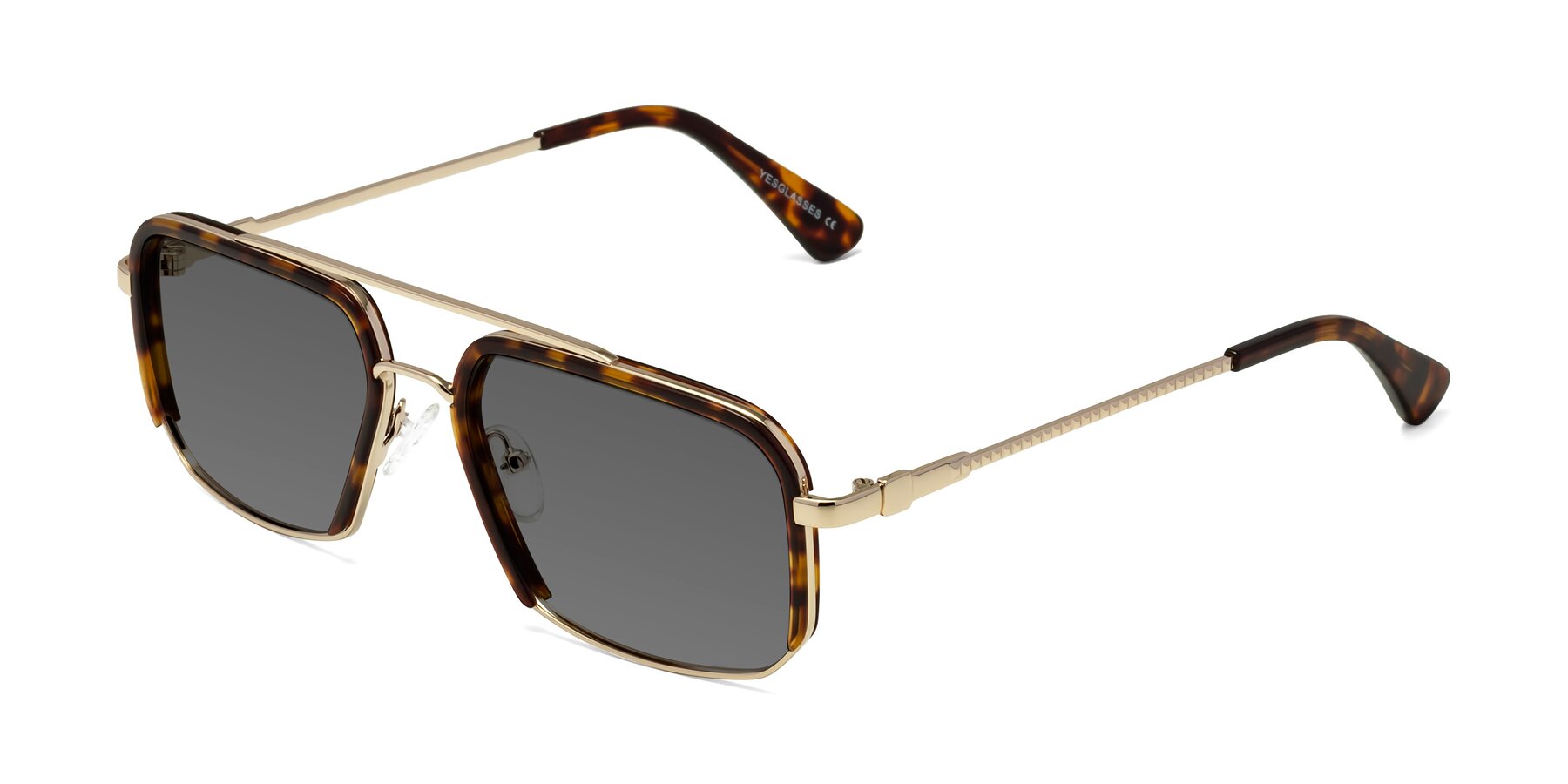 Angle of Dechter in Tortoise-Gold with Medium Gray Tinted Lenses