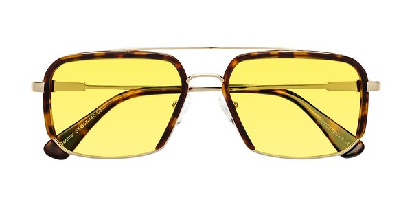 Front of Dechter in Tortoise / Gold