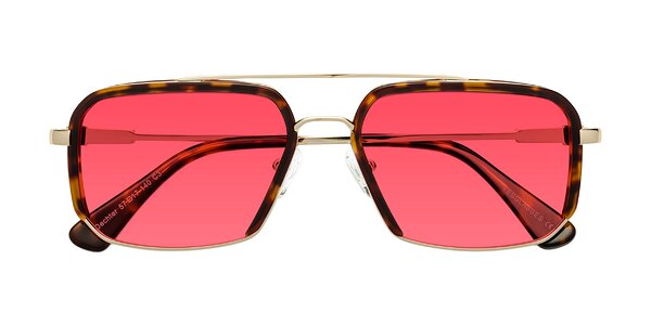 Front of Dechter in Tortoise / Gold