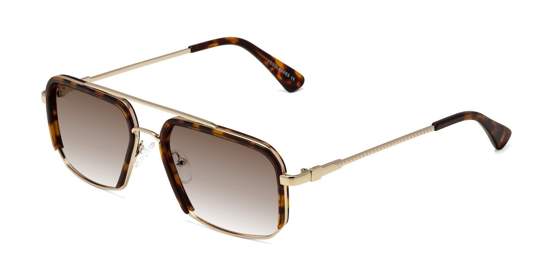 Angle of Dechter in Tortoise-Gold with Brown Gradient Lenses