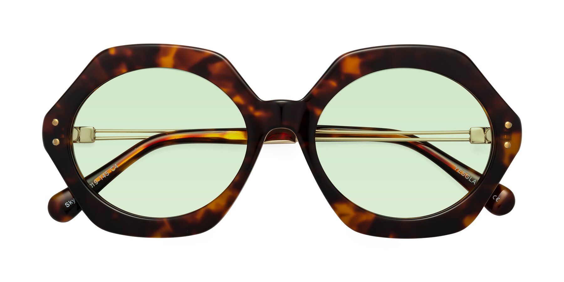 Folded Front of Skye in Tortoise with Light Green Tinted Lenses