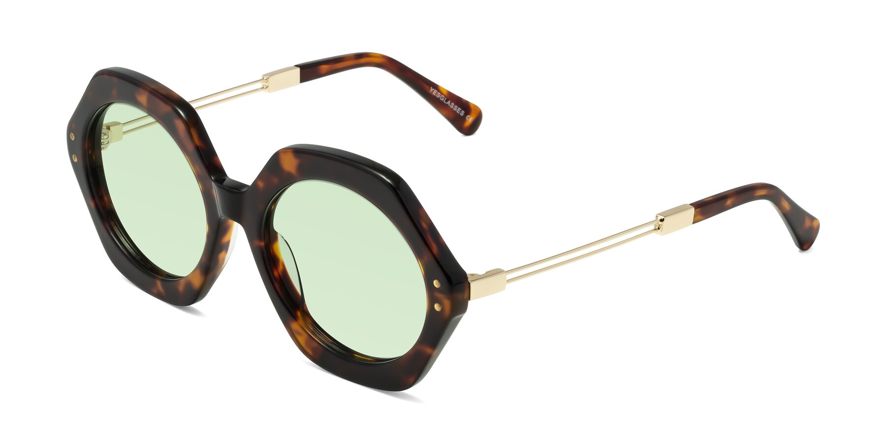 Angle of Skye in Tortoise with Light Green Tinted Lenses