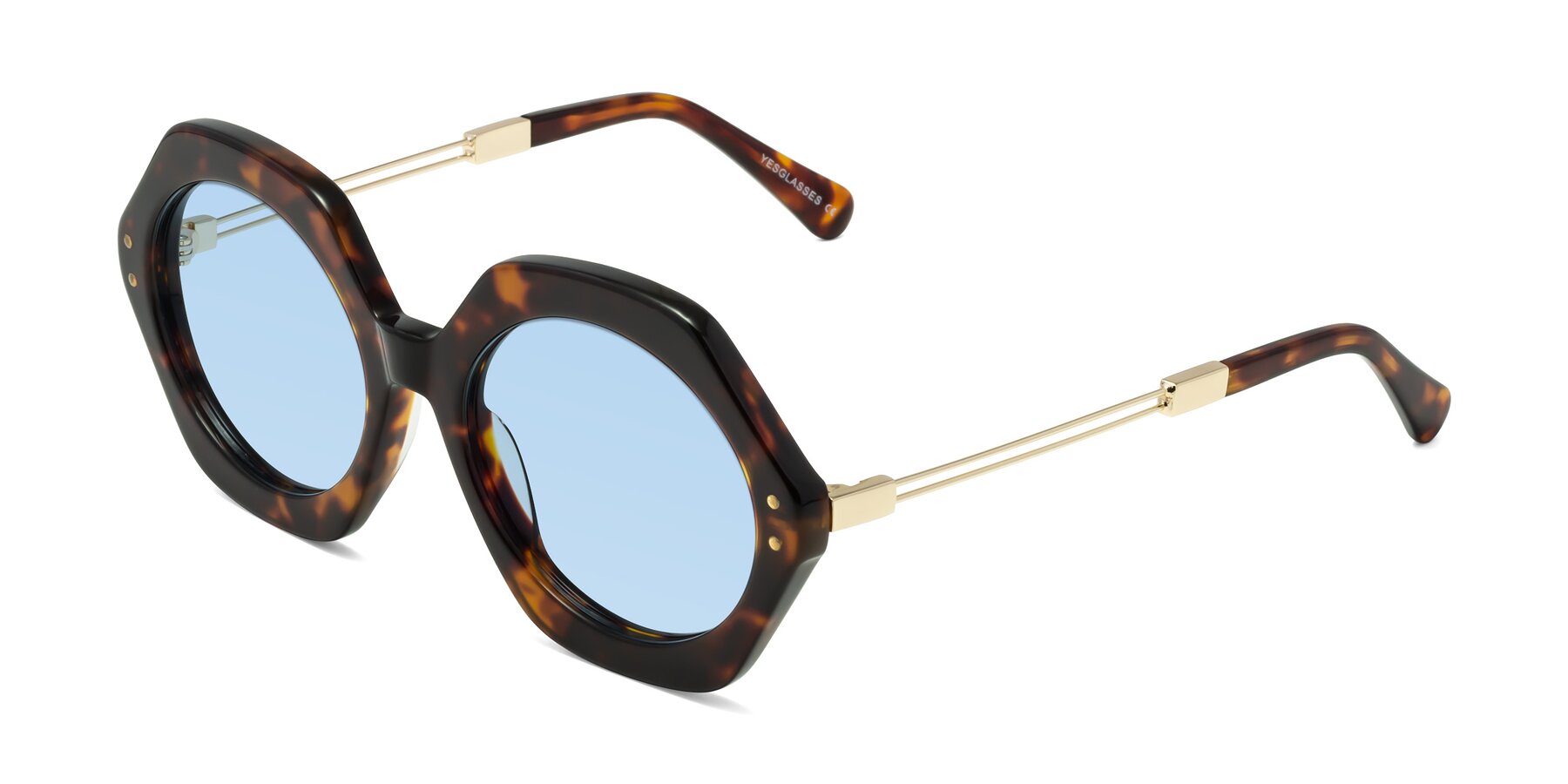 Angle of Skye in Tortoise with Light Blue Tinted Lenses