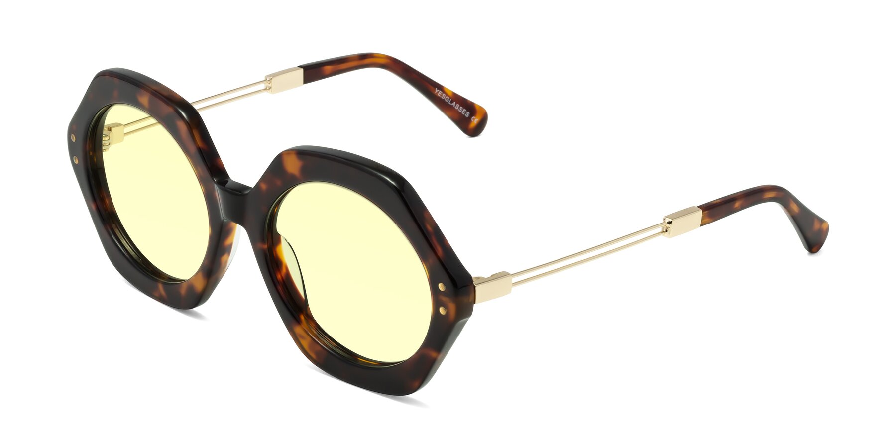Angle of Skye in Tortoise with Light Yellow Tinted Lenses