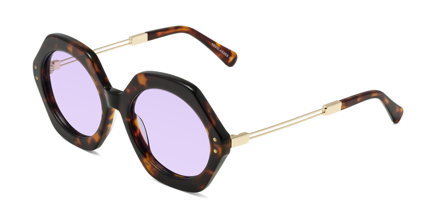 Angle of Skye in Tortoise with Light Purple Tinted Lenses