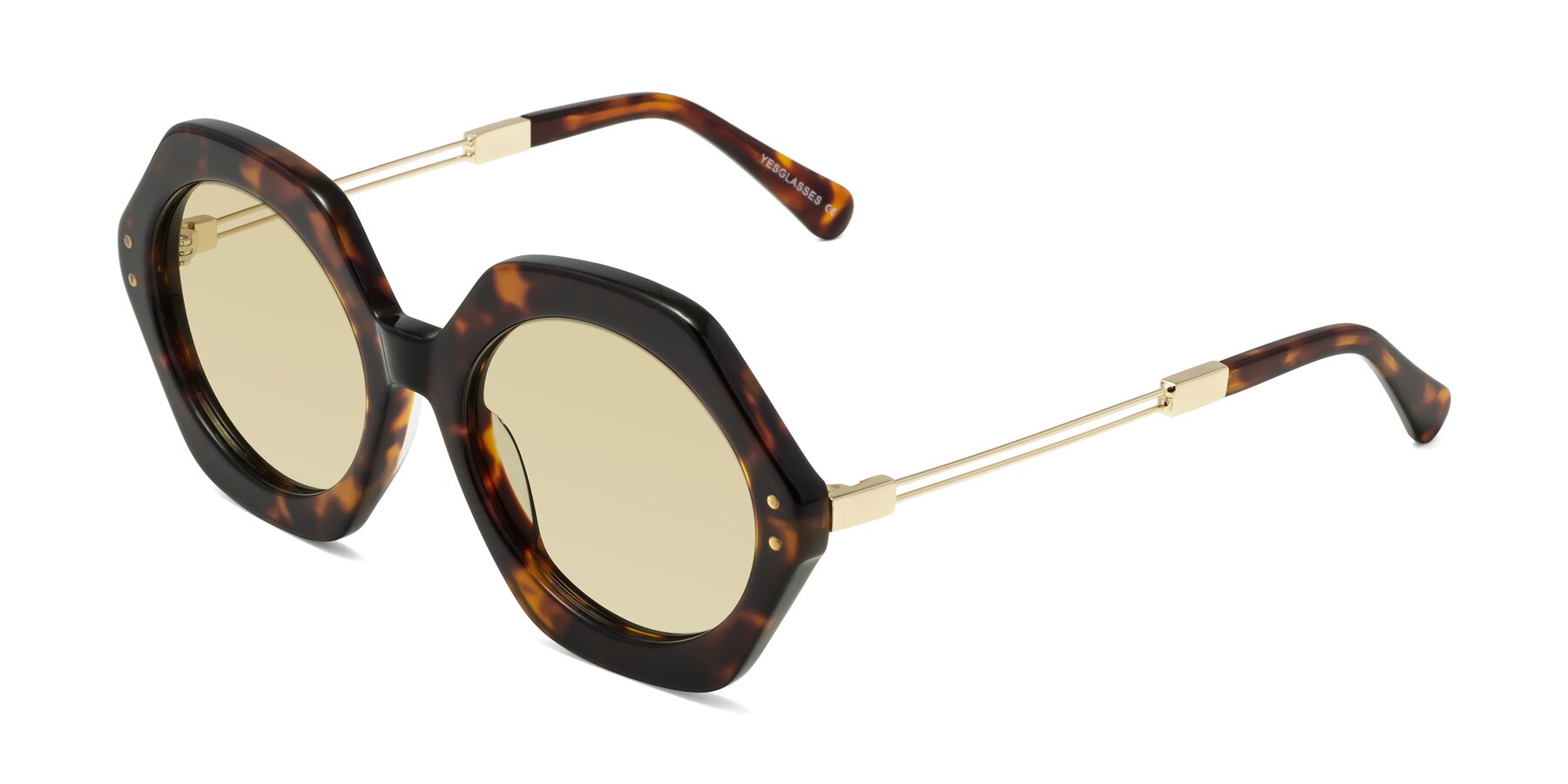 Angle of Skye in Tortoise with Light Champagne Tinted Lenses