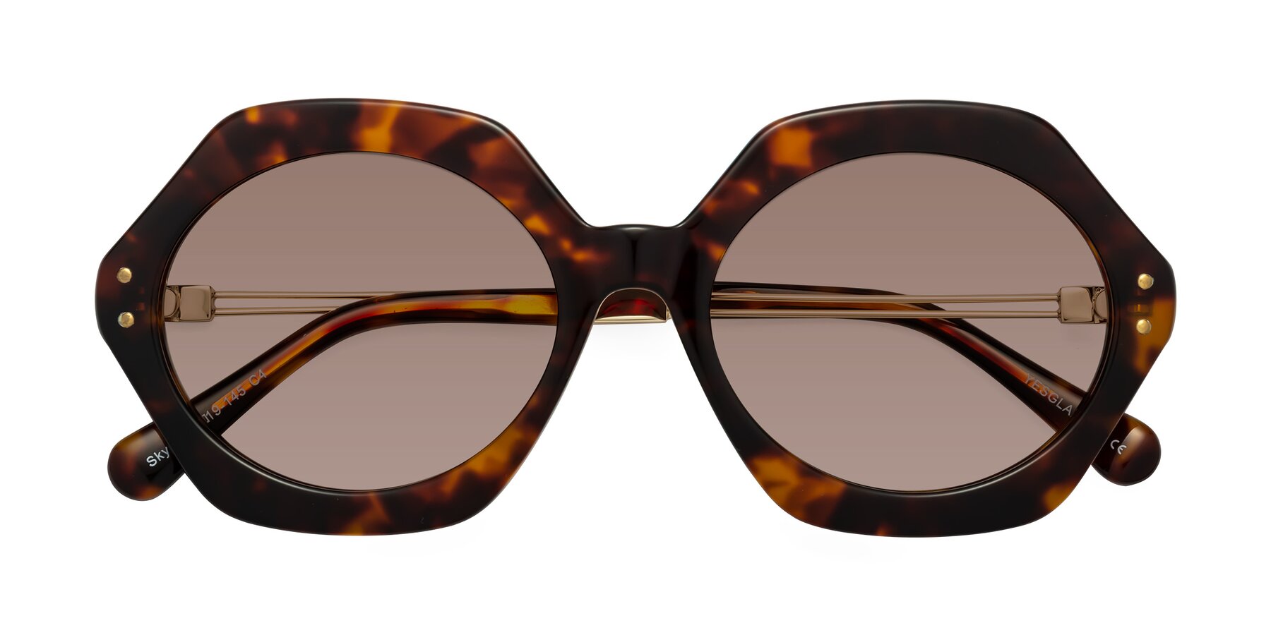 Folded Front of Skye in Tortoise with Medium Brown Tinted Lenses