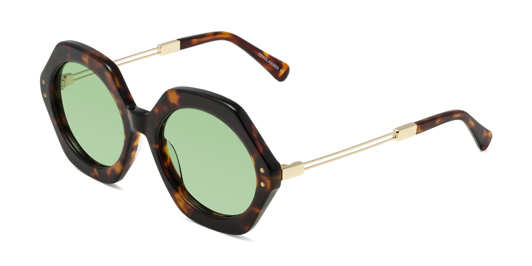 Angle of Skye in Tortoise with Medium Green Tinted Lenses