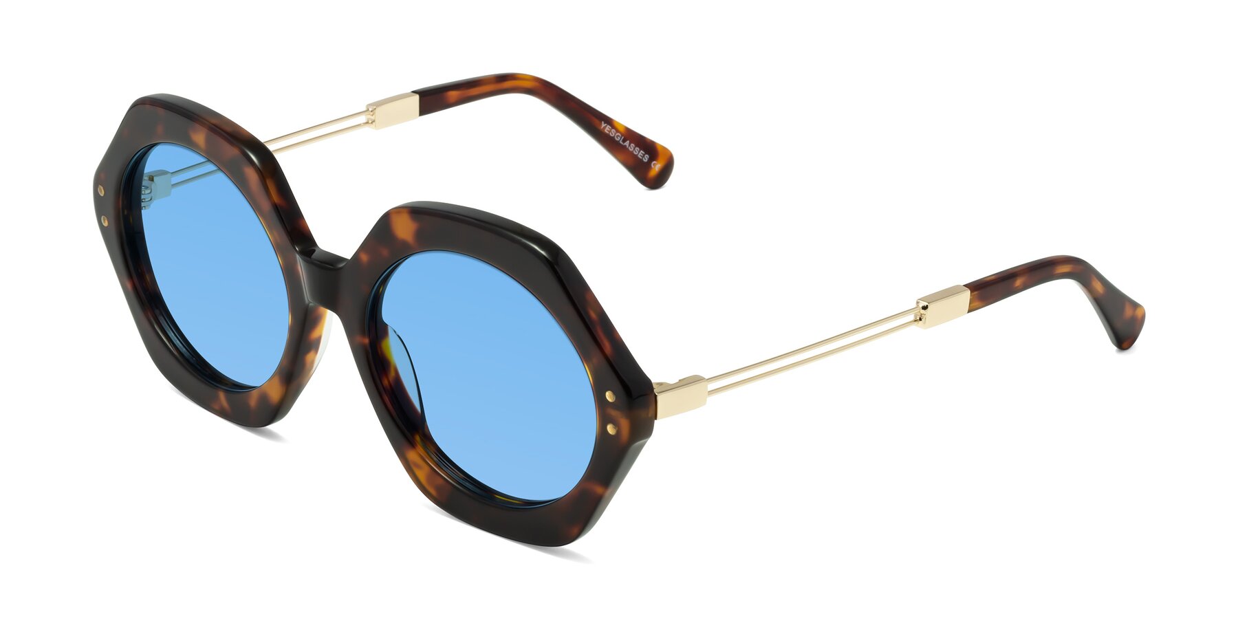 Angle of Skye in Tortoise with Medium Blue Tinted Lenses