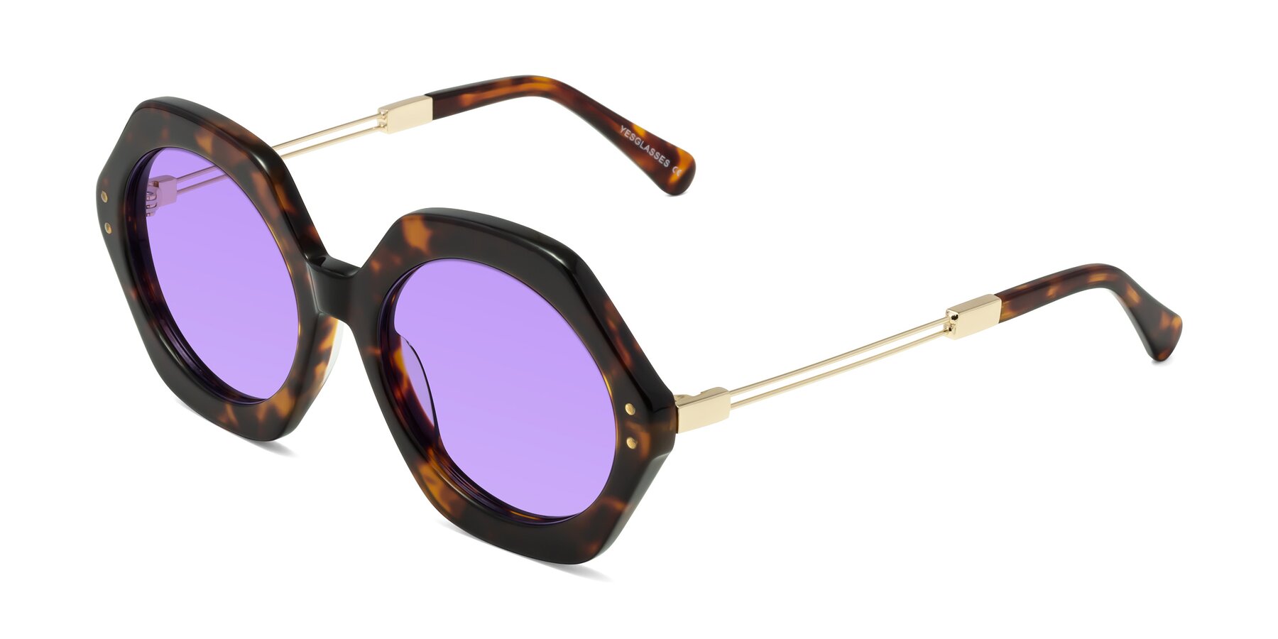 Angle of Skye in Tortoise with Medium Purple Tinted Lenses