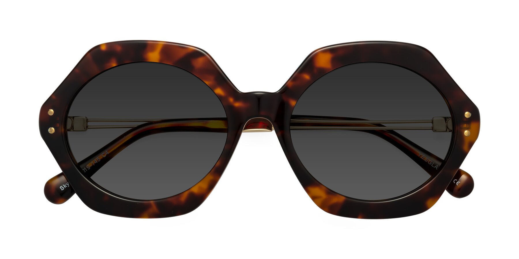 Folded Front of Skye in Tortoise with Gray Tinted Lenses