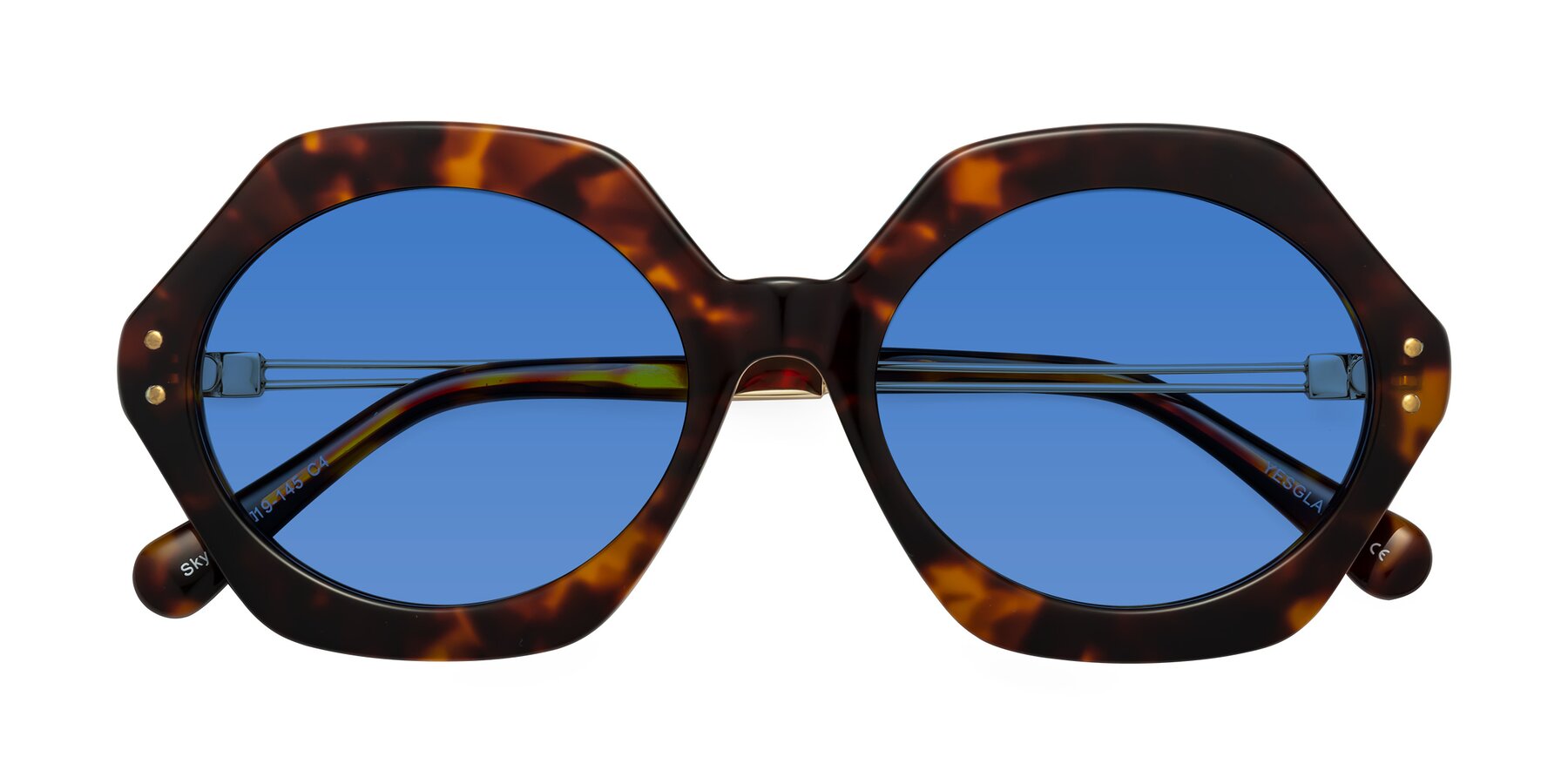 Folded Front of Skye in Tortoise with Blue Tinted Lenses