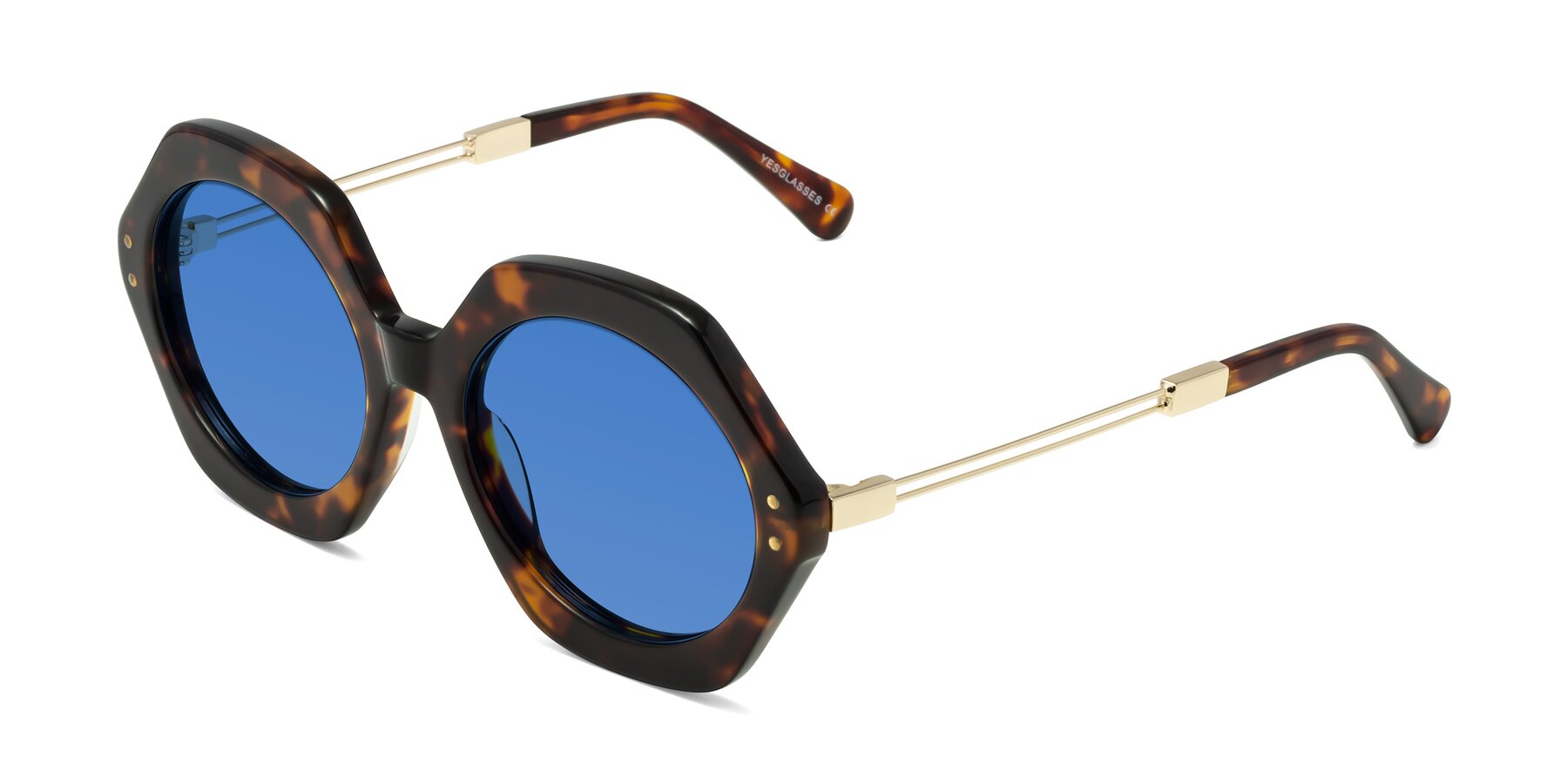 Angle of Skye in Tortoise with Blue Tinted Lenses