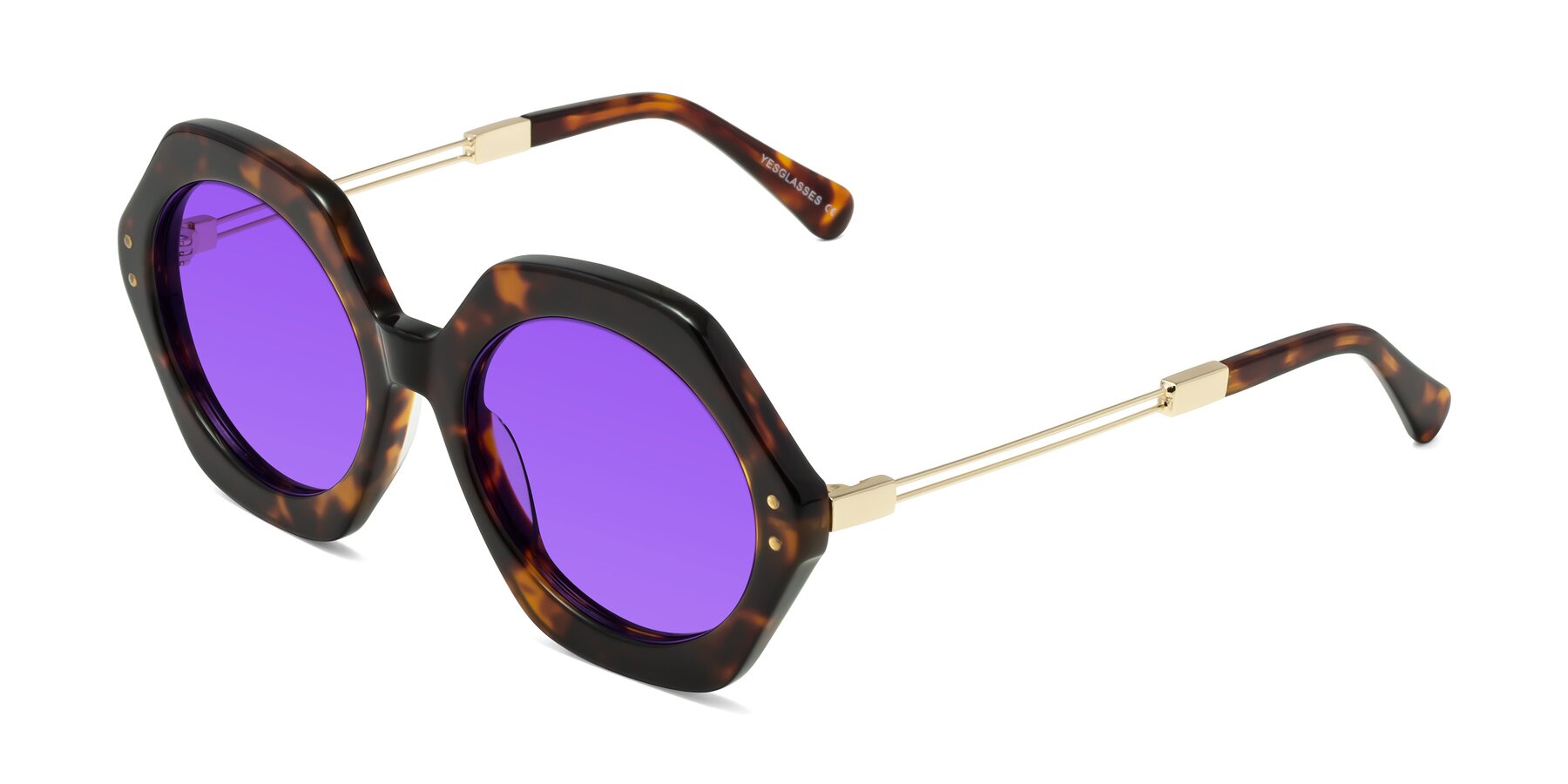 Angle of Skye in Tortoise with Purple Tinted Lenses