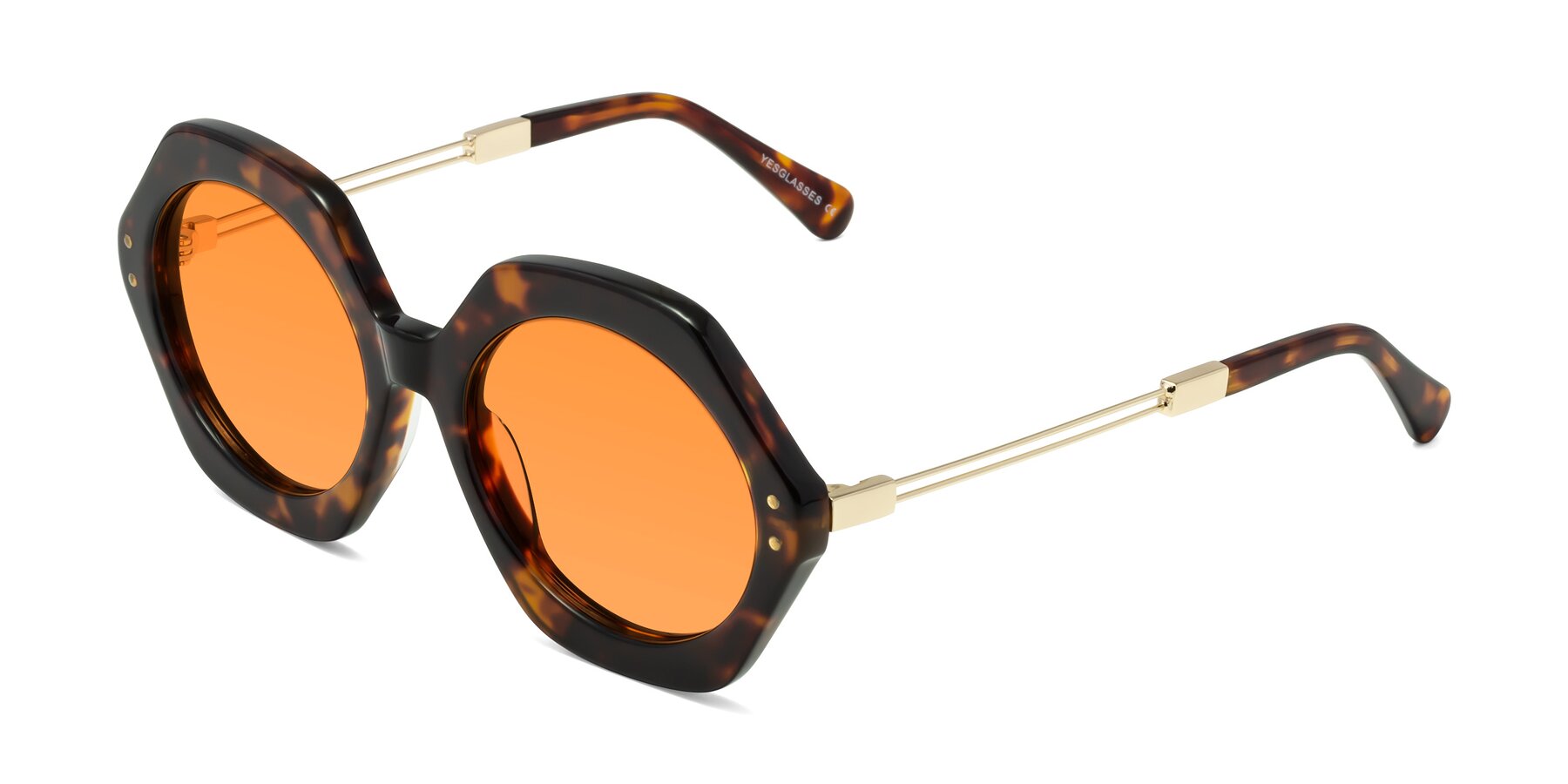 Angle of Skye in Tortoise with Orange Tinted Lenses