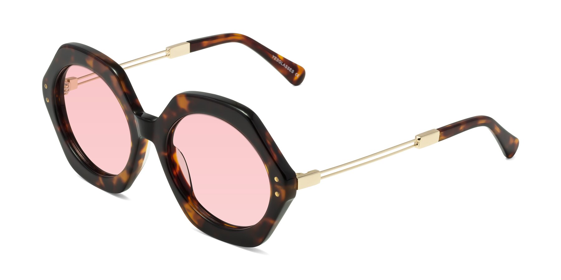 Angle of Skye in Tortoise with Light Garnet Tinted Lenses