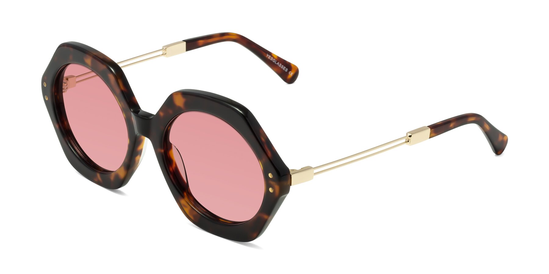 Angle of Skye in Tortoise with Medium Garnet Tinted Lenses