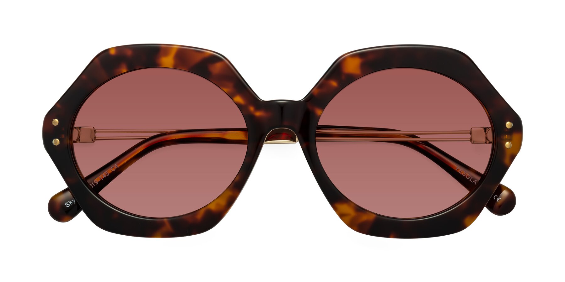 Folded Front of Skye in Tortoise with Garnet Tinted Lenses