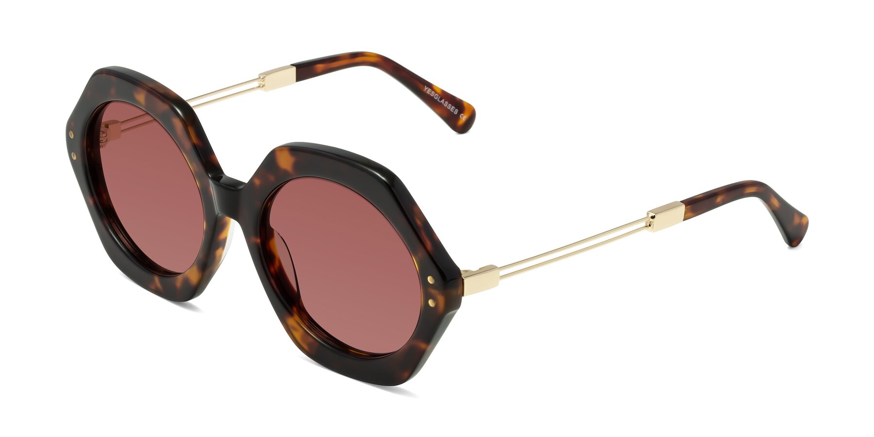 Angle of Skye in Tortoise with Garnet Tinted Lenses