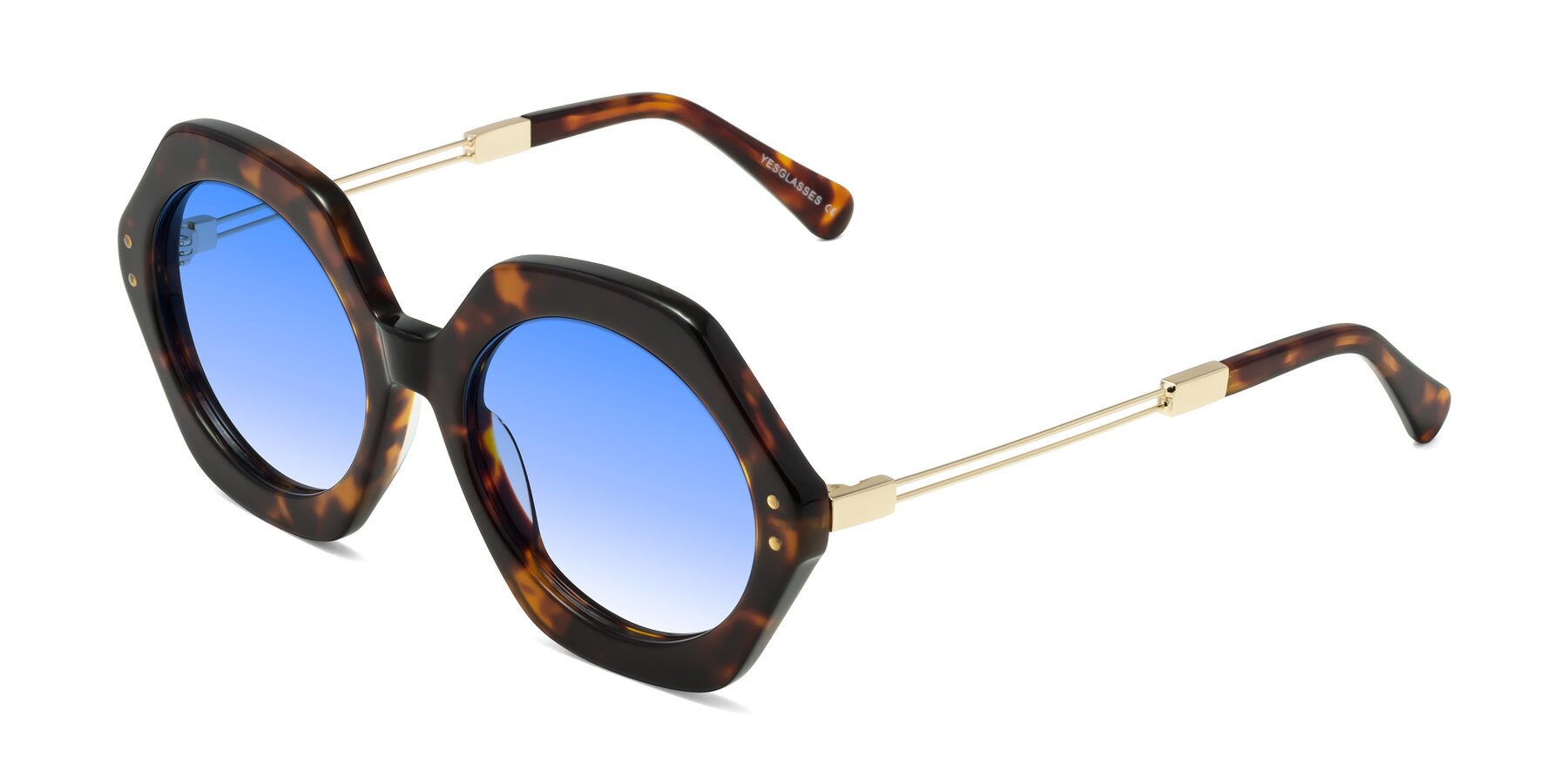 Angle of Skye in Tortoise with Blue Gradient Lenses