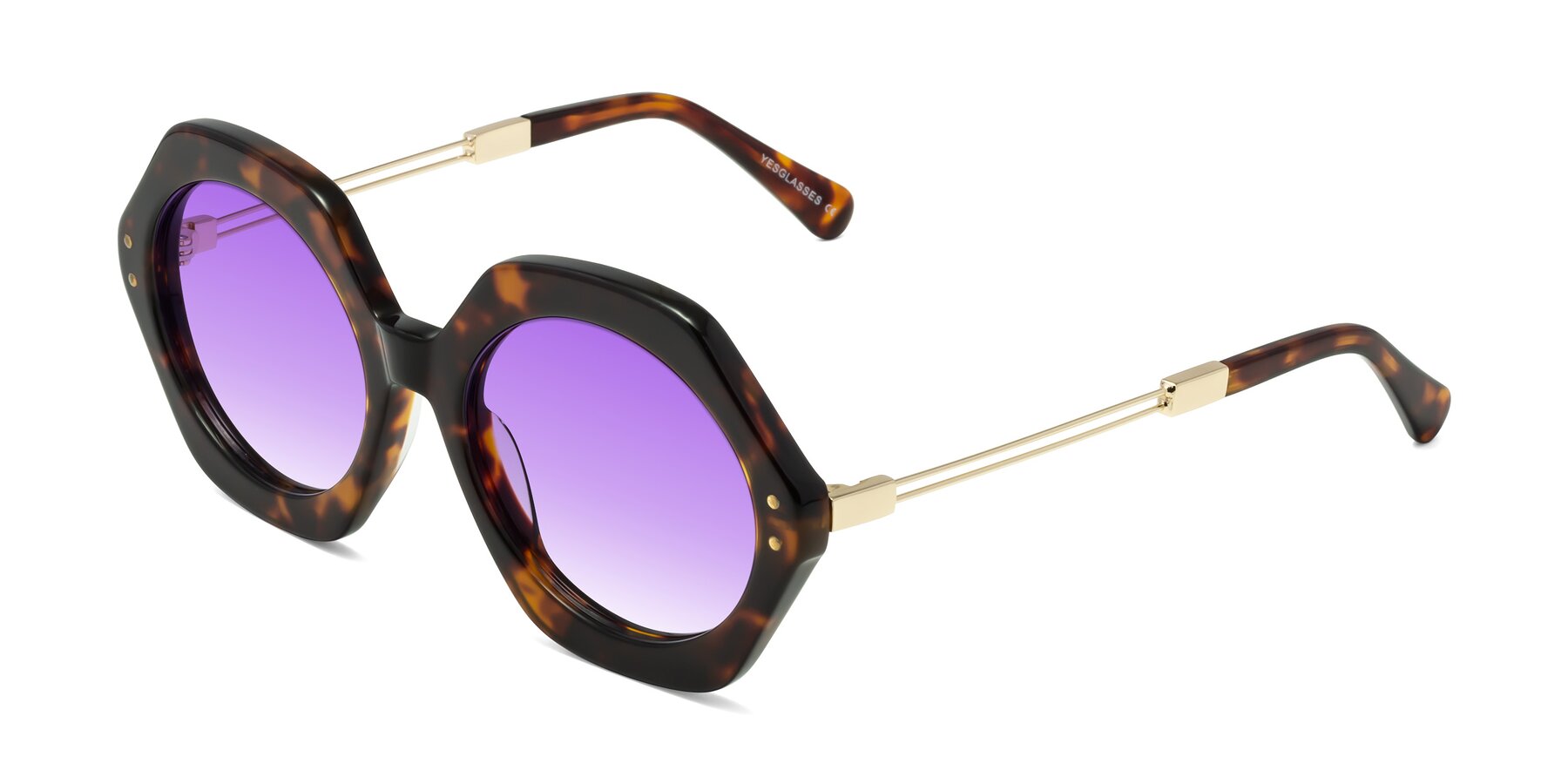 Angle of Skye in Tortoise with Purple Gradient Lenses
