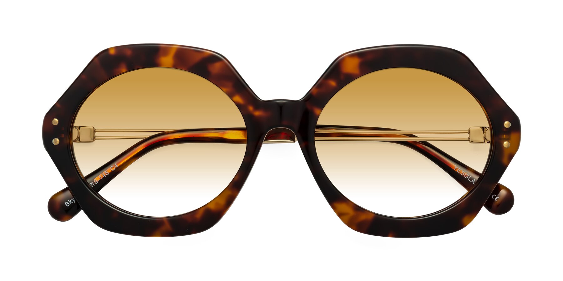 Folded Front of Skye in Tortoise with Champagne Gradient Lenses