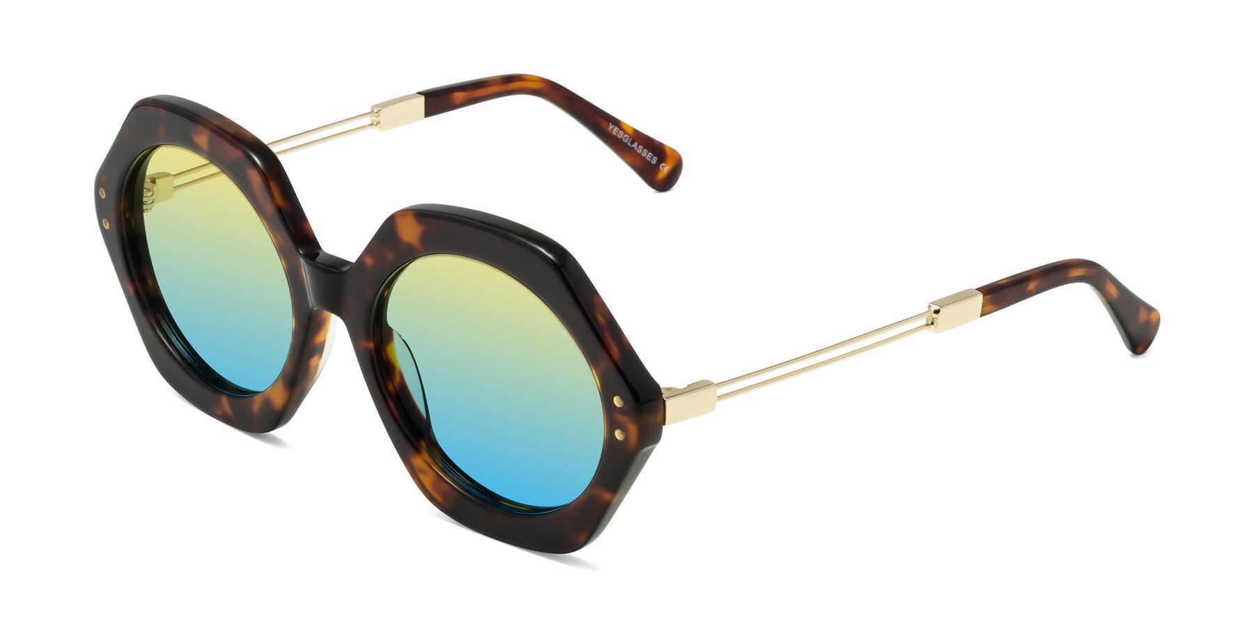 Angle of Skye in Tortoise with Yellow / Blue Gradient Lenses