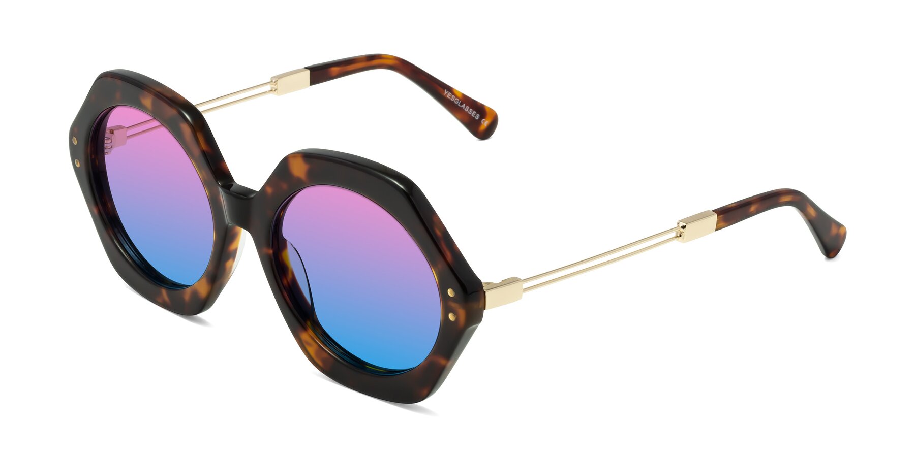 Angle of Skye in Tortoise with Pink / Blue Gradient Lenses