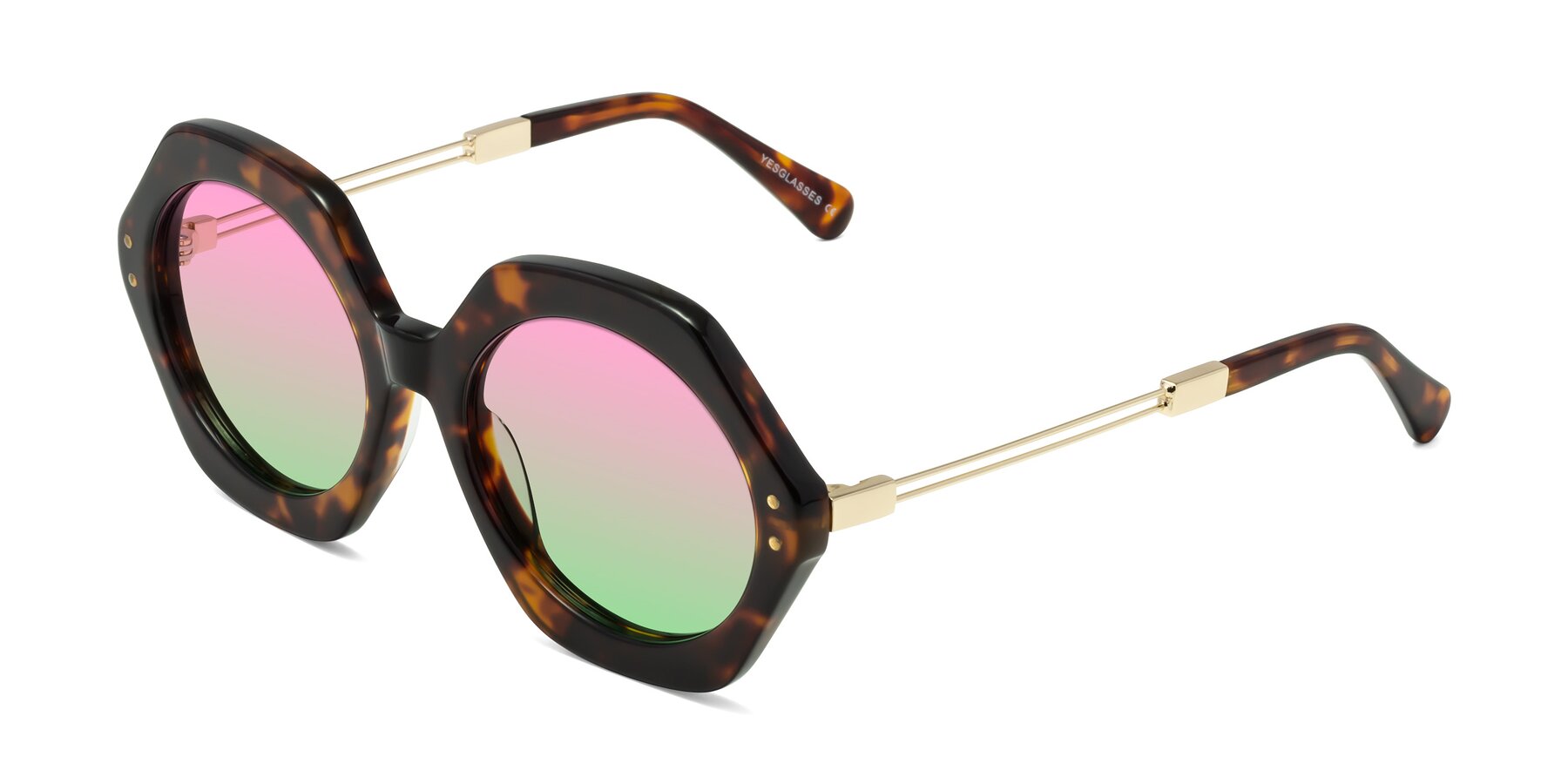 Angle of Skye in Tortoise with Pink / Green Gradient Lenses