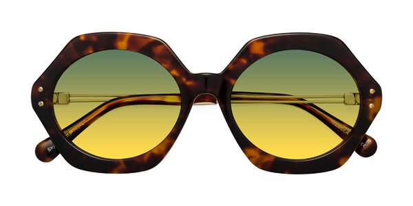 Front of Skye in Tortoise