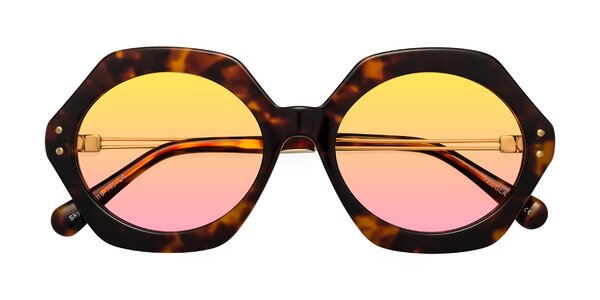 Front of Skye in Tortoise