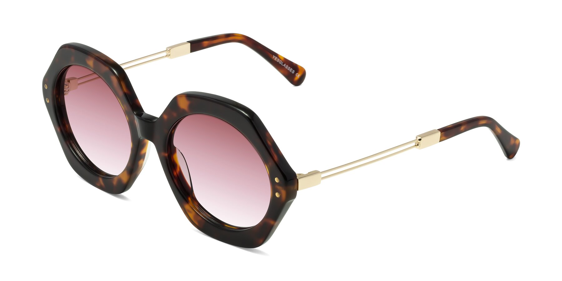 Angle of Skye in Tortoise with Garnet Gradient Lenses