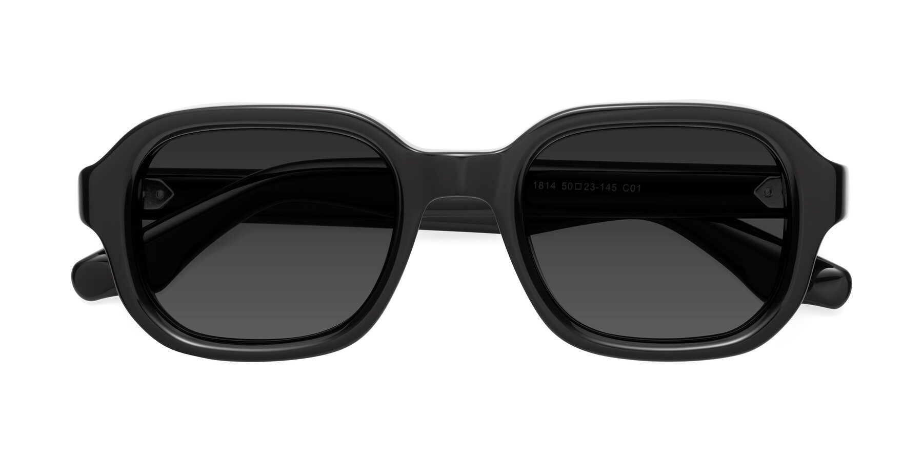 Folded Front of Unite in Black with Gray Tinted Lenses