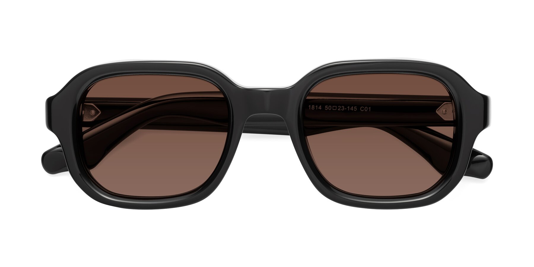 Folded Front of Unite in Black with Brown Tinted Lenses