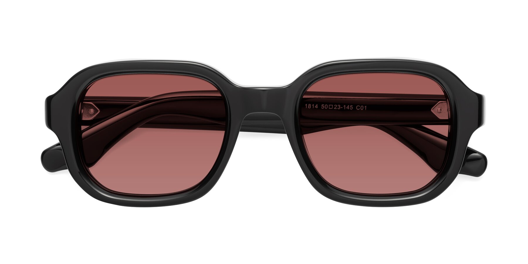 Folded Front of Unite in Black with Garnet Tinted Lenses