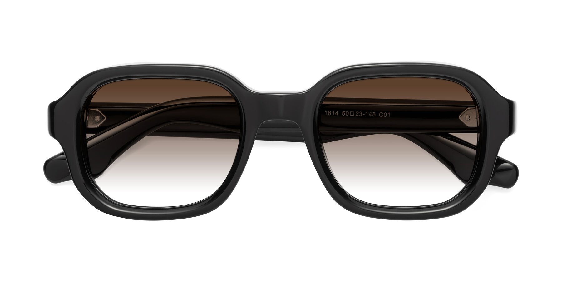 Folded Front of Unite in Black with Brown Gradient Lenses
