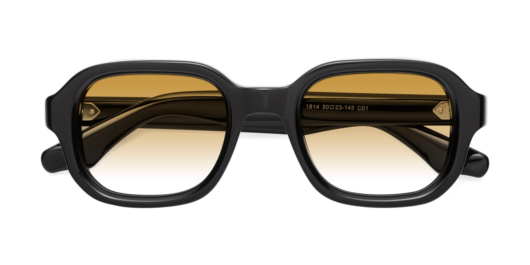 Folded Front of Unite in Black with Champagne Gradient Lenses