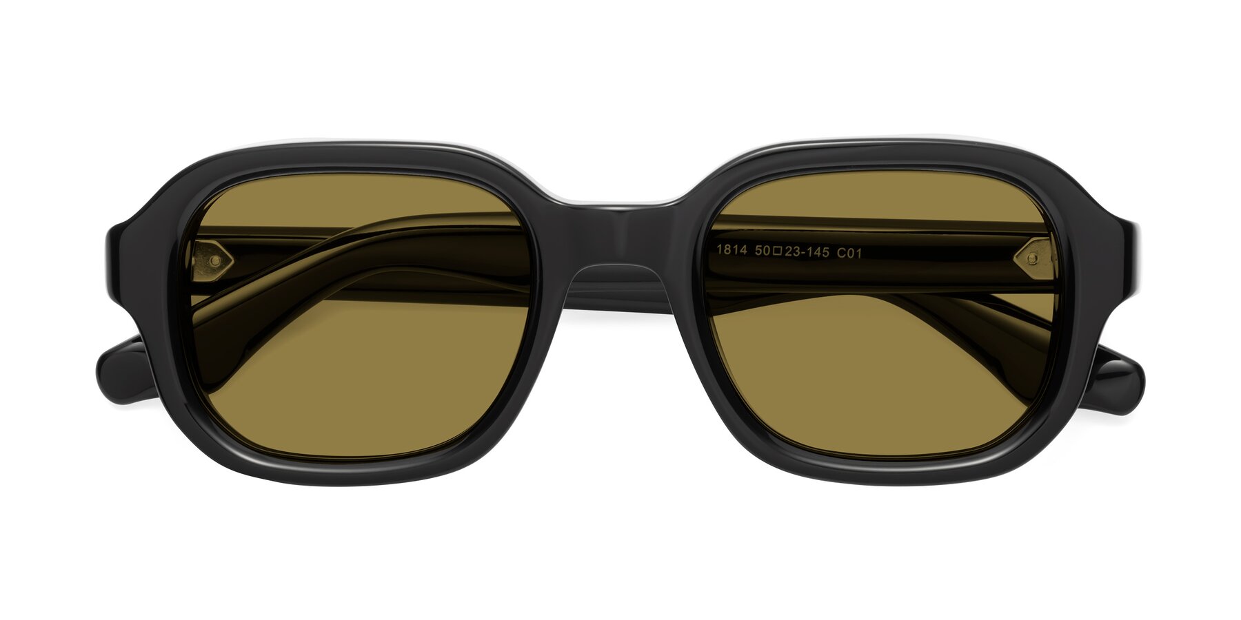 Folded Front of Unite in Black with Brown Polarized Lenses