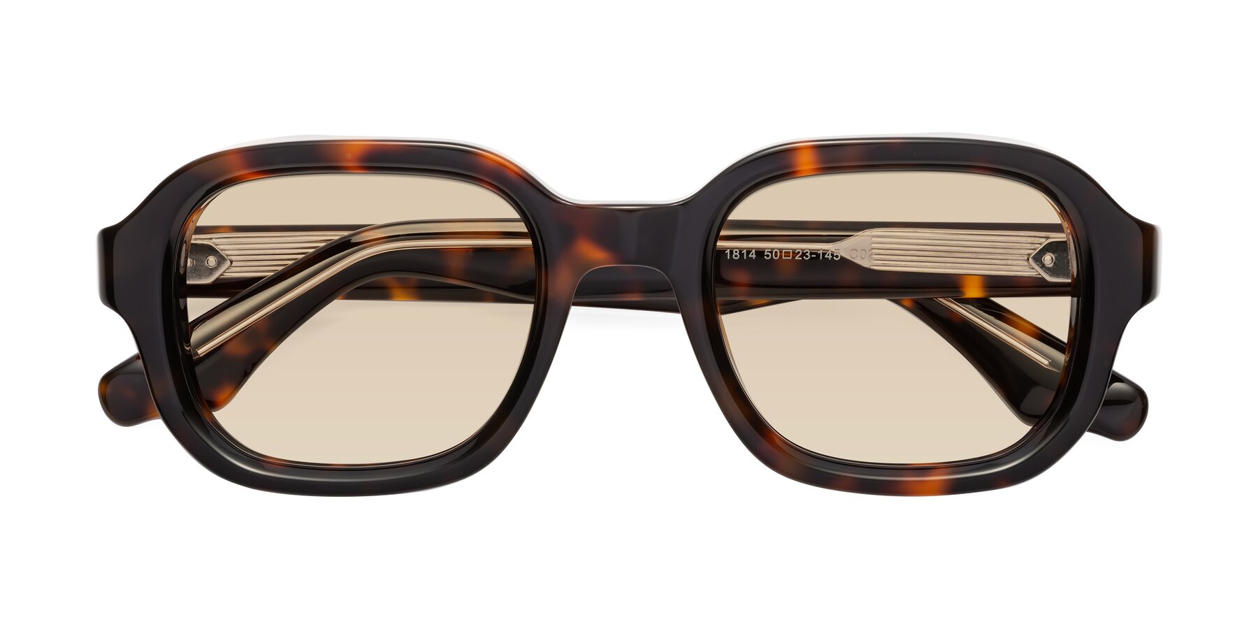 Folded Front of Unite in Tortoise with Light Brown Tinted Lenses