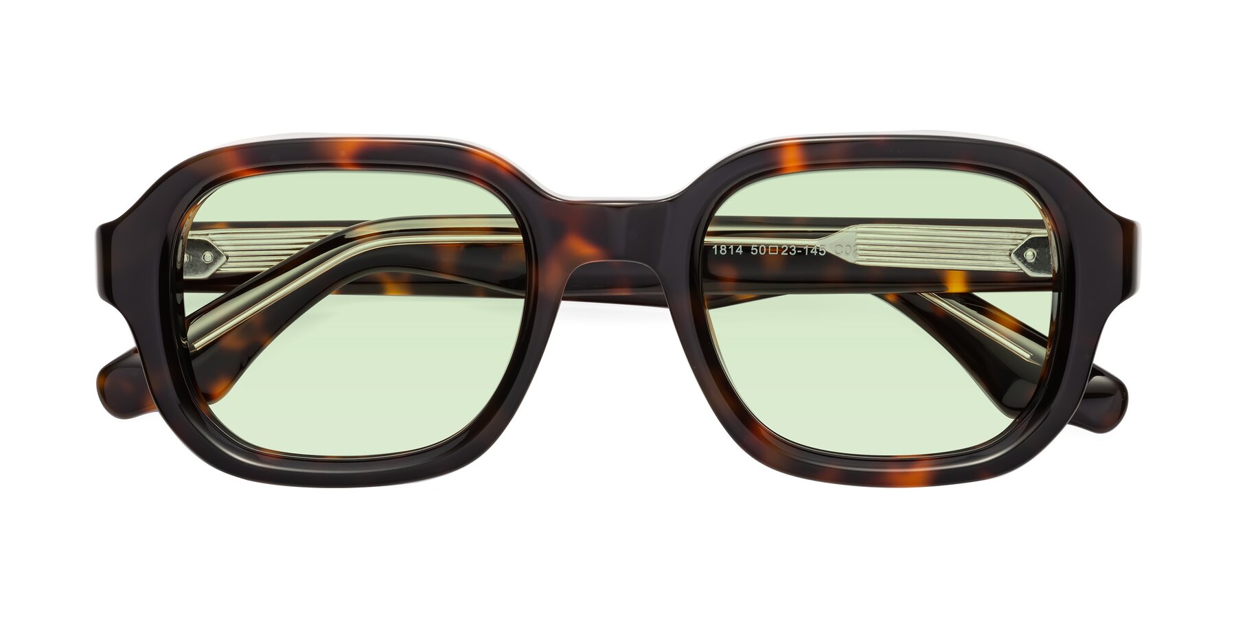 Folded Front of Unite in Tortoise with Light Green Tinted Lenses