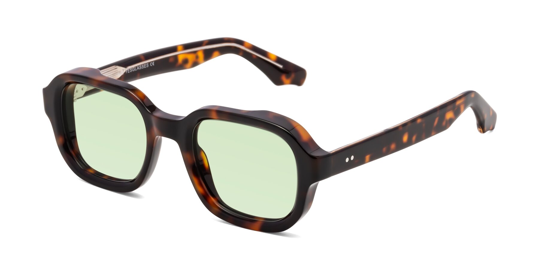 Angle of Unite in Tortoise with Light Green Tinted Lenses