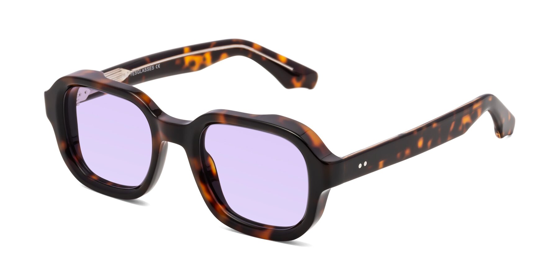 Angle of Unite in Tortoise with Light Purple Tinted Lenses