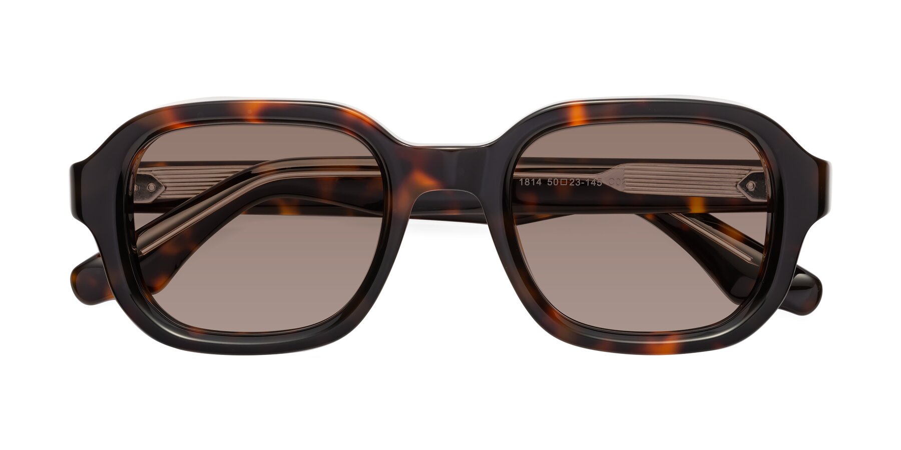 Folded Front of Unite in Tortoise with Medium Brown Tinted Lenses