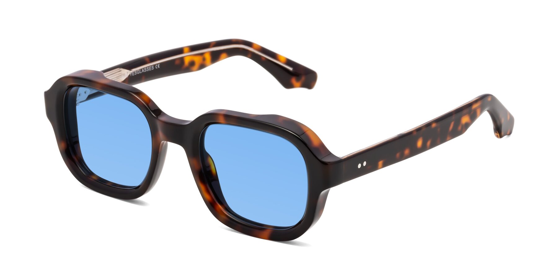 Angle of Unite in Tortoise with Medium Blue Tinted Lenses