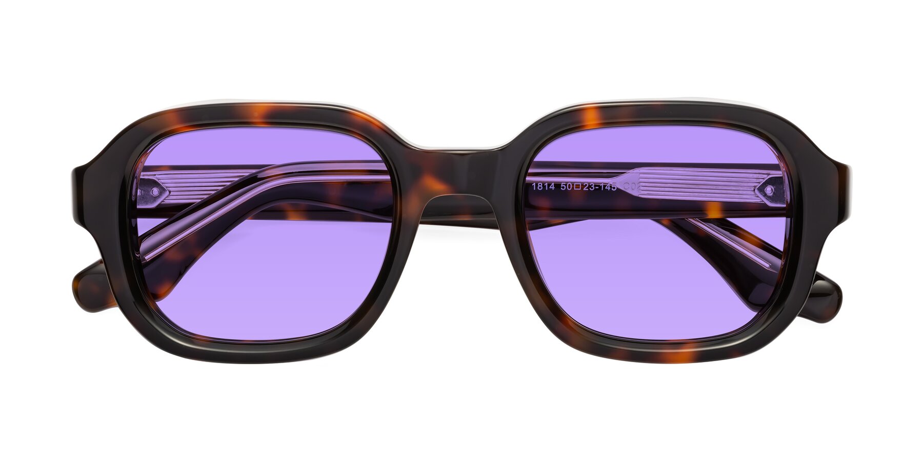 Folded Front of Unite in Tortoise with Medium Purple Tinted Lenses