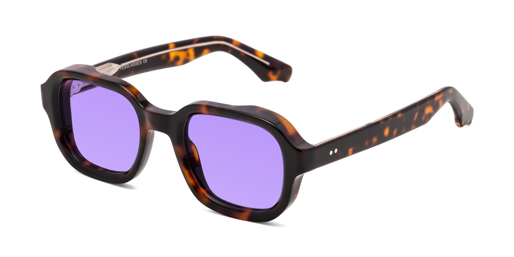 Angle of Unite in Tortoise with Medium Purple Tinted Lenses